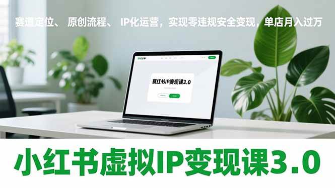 （17029期）小红书虚拟IP变现课3.0，赛道定位、原创流程、IP化运营，实现零违规安全变现，单店月入过万-星云源码网-汇集全网高质量源码及优质教程的资源整合站
