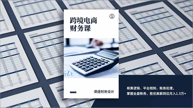 跨境电商财务课，核算逻辑、平台规则、账务处理，掌握全盘账务，胜任高薪岗位月入1.5万+-星云源码网-汇集全网高质量源码及优质教程的资源整合站