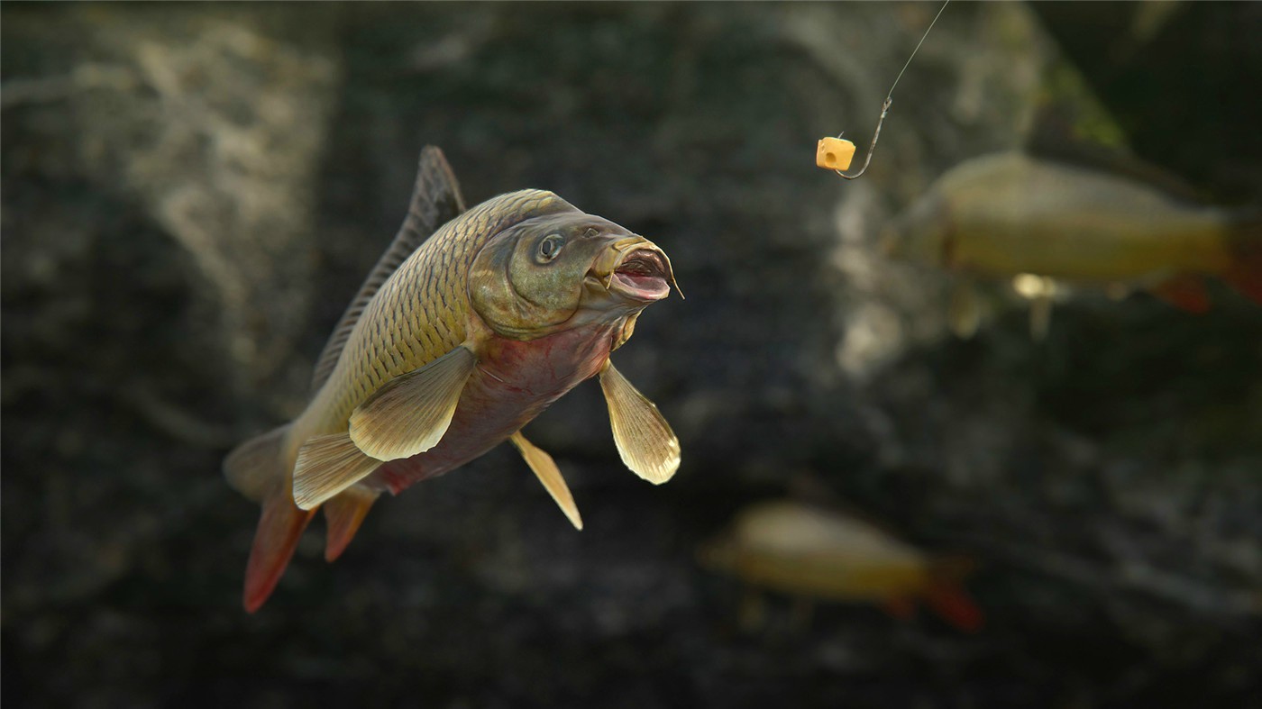 《人渣》v1.1.0.2.99989中文版